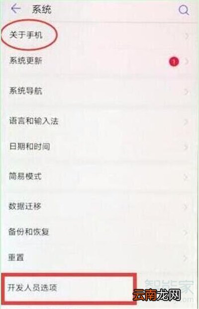 荣耀20s开发者选项怎么打开
