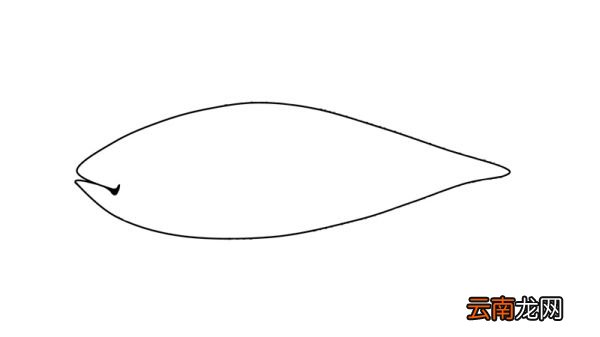 鱼简笔画 鱼怎么画