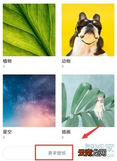 红米note8pro怎么设置动态壁纸