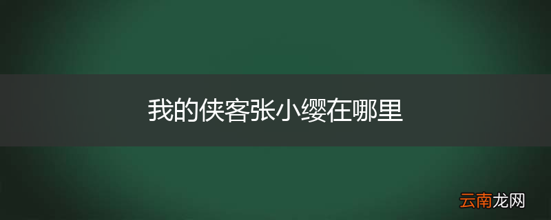 我的侠客张小缨在哪里