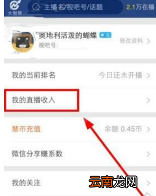 视吧app中查看自己收入详细操作步骤