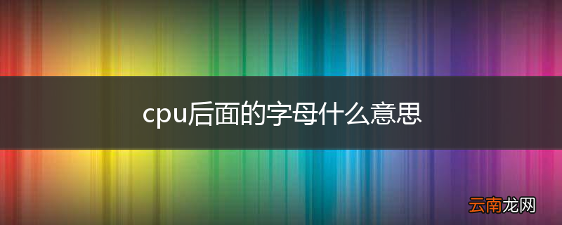 cpu后面的字母什么意思