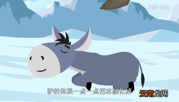 驴子和冰明白什么道理 驴子和冰的故事