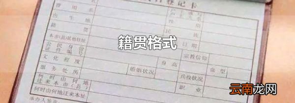 籍贯格式