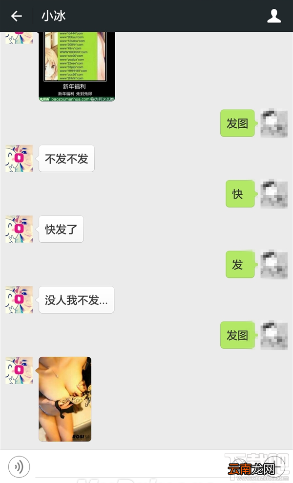 微软小冰微信公众号是什么 微软小冰微信公众号名字/二维码