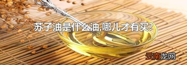 苏子油是什么油,哪儿才有买?