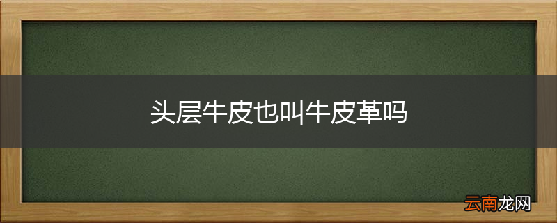 头层牛皮也叫牛皮革吗