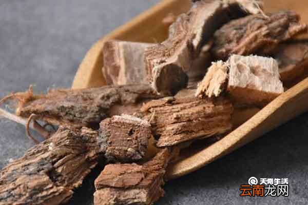 榆树皮的功效与作用榆树皮的禁忌人群