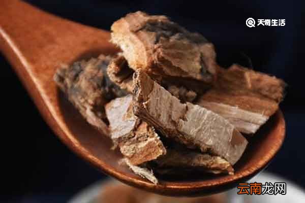榆树皮的功效与作用榆树皮的禁忌人群