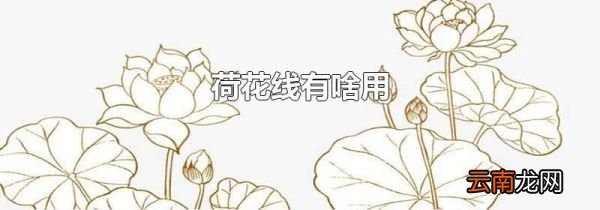 荷花线有啥用