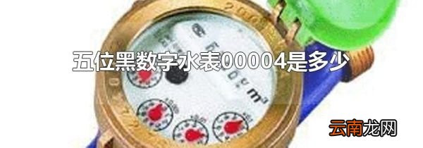 五位黑数字水表00004是多少