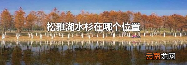 松雅湖水杉在哪个位置