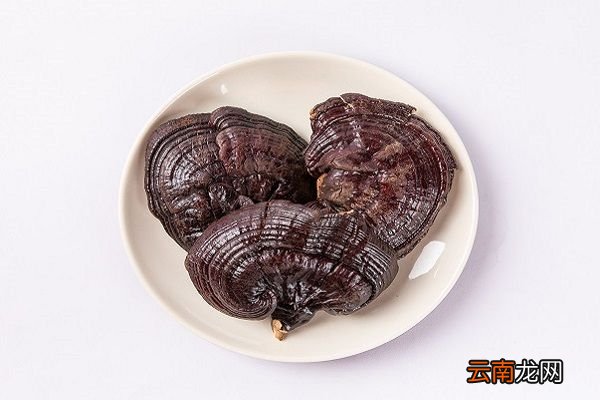 朿灵芝的功效与作用 朿灵芝的食用禁忌