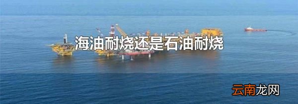 海油耐烧还是石油耐烧