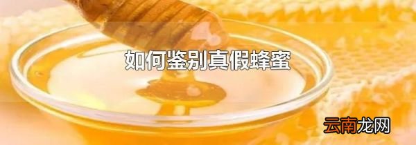 如何鉴别真假蜂蜜