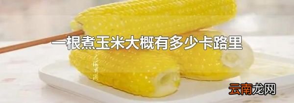 一根煮玉米大概有多少卡路里