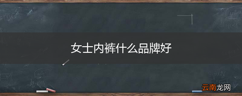 女士内裤什么品牌好