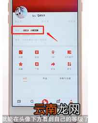 在全民K歌里进行升级详细操作