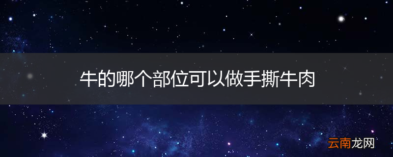 牛的哪个部位可以做手撕牛肉