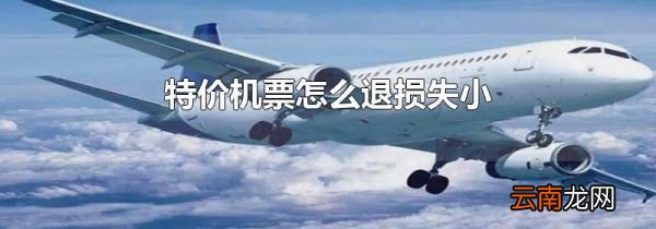 特价机票怎么退损失小