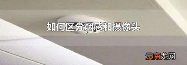 如何区分烟感和摄像头