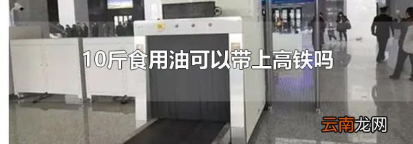 10斤食用油可以带上高铁吗