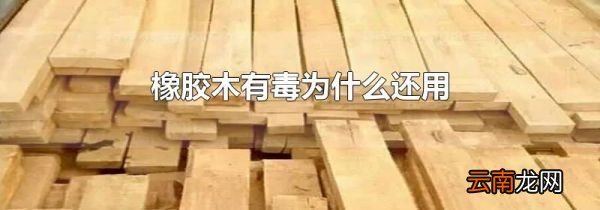 橡胶木有毒为什么还用
