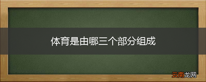 体育是由哪三个部分组成