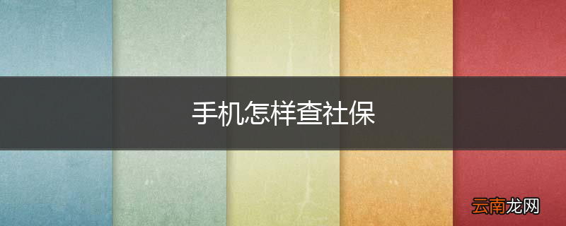 手机怎样查社保