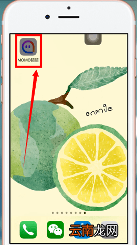 陌陌app中退群具体操作流程