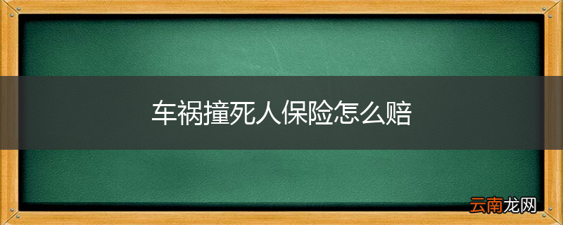 车祸撞死人保险怎么赔