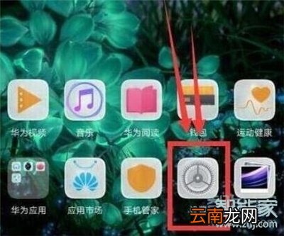 荣耀20s怎么显示步数