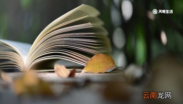 石头汤的故事告诉我们一个什么道理 石头汤故事书告诉我们的道理是什么