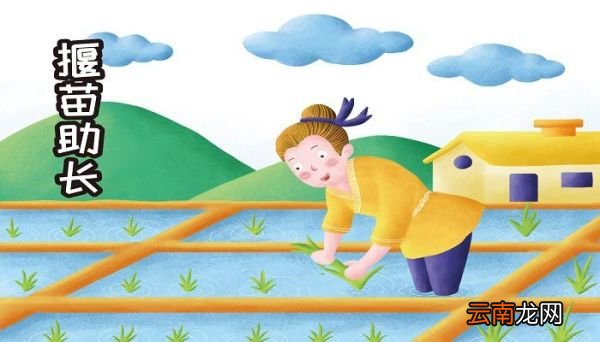 二年级揠苗助长告诉我们什么道理