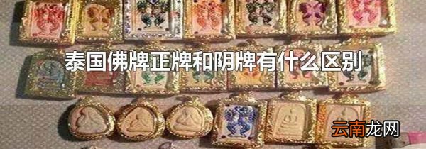 泰国佛牌正牌和阴牌有什么区别
