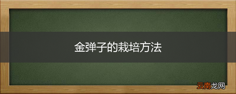 金弹子的栽培方法