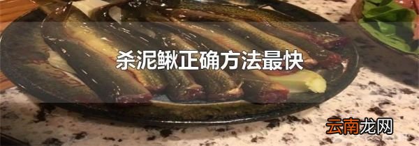 杀泥鳅正确方法最快
