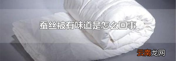 蚕丝被有味道是怎么回事