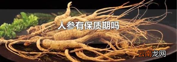 人参有保质期吗