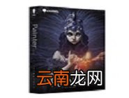 painter中使用厚涂笔绘画图形详细操作流程