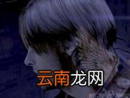 生化危机2重制版游戏不能启动处理操作