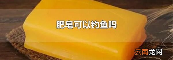 肥皂可以钓鱼吗