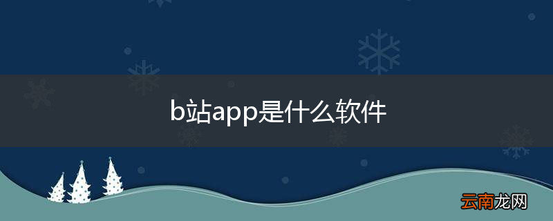 b站app是什么软件