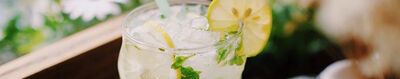 喝mojito代表什么？