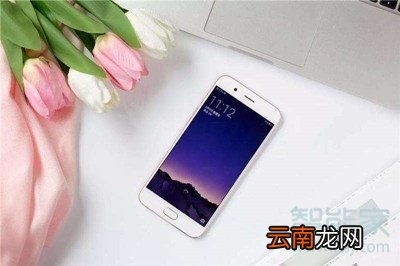 手机绿屏怎么办