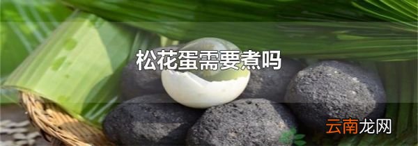 松花蛋需要煮吗