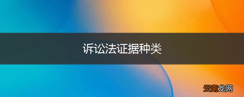 诉讼法证据种类