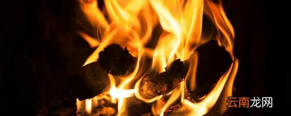 七步诗四句版带拼音 七步诗古诗注音