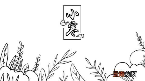 小寒节气手抄报