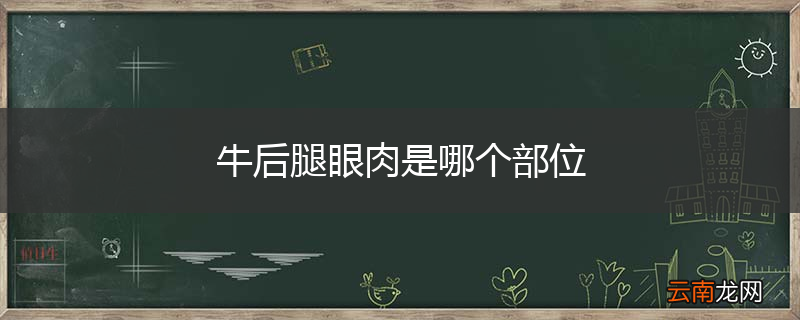 牛后腿眼肉是哪个部位